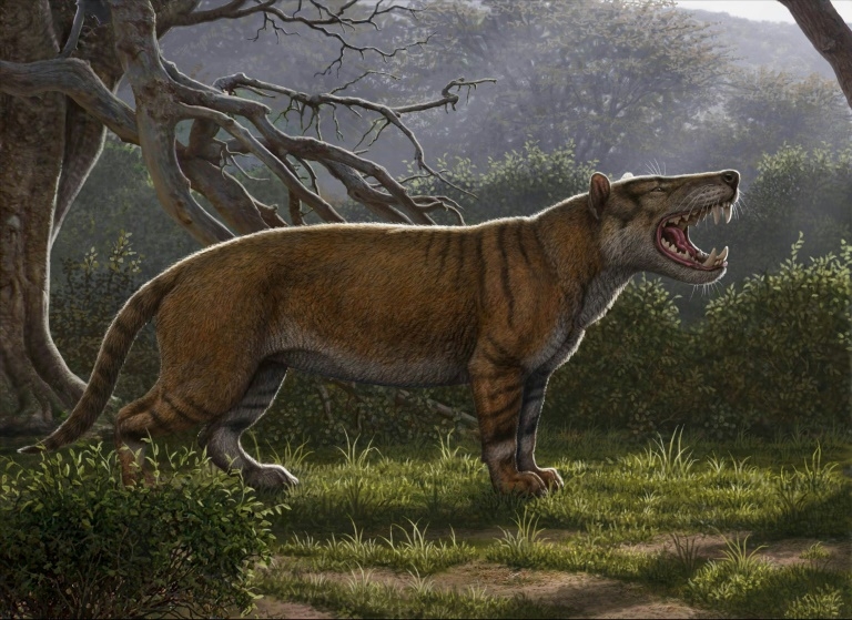 Researchers Discover Ancient Giant ‘lion’ In Kenya 