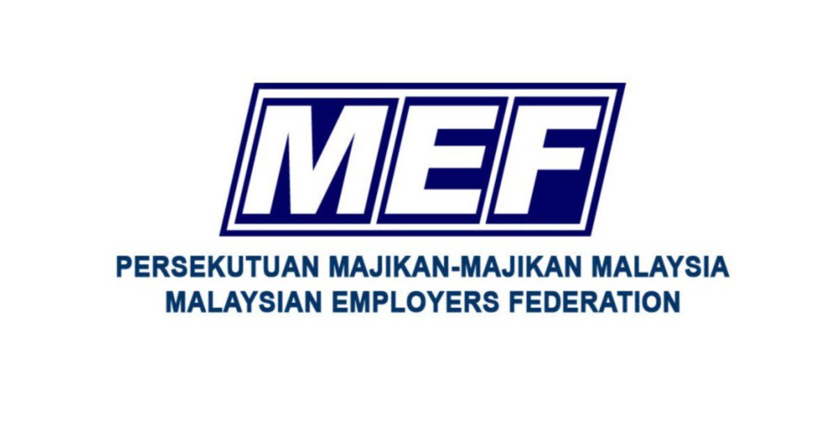 MEF logo